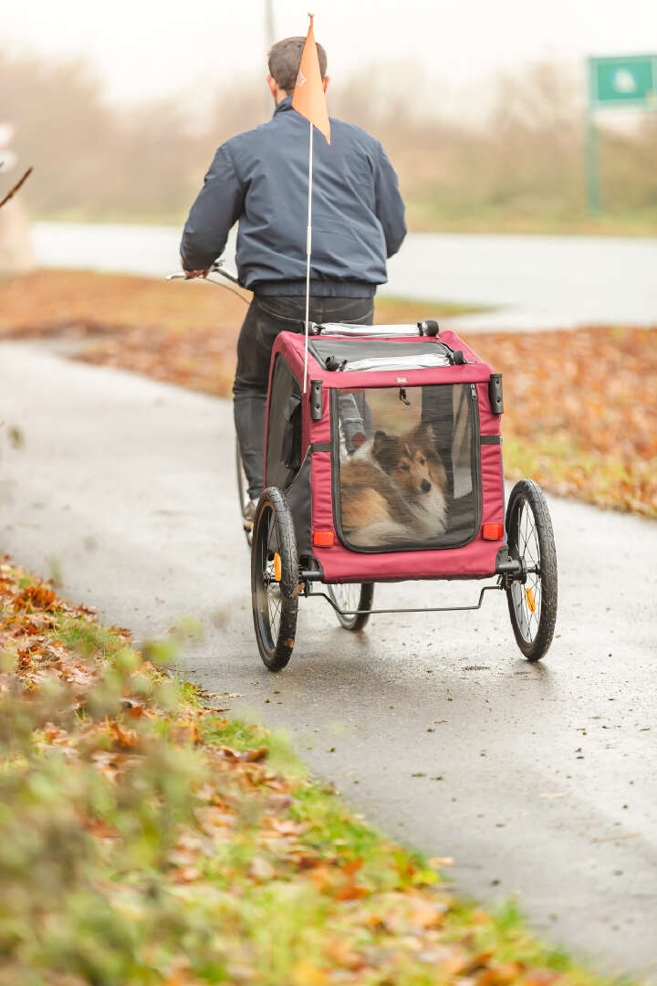 TRIXIE Fahrrad-Anhänger für Hunde